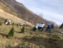 PLANTING PINE TREES TOGETHER WITH THE STUDENTS 